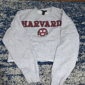 harvard cropped sweater
